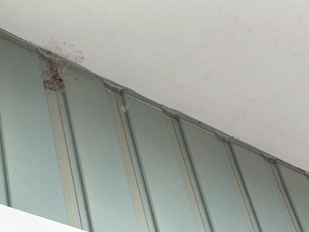 外壁際のシーリングも上から増し打ちします。